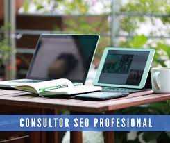 seo consultor