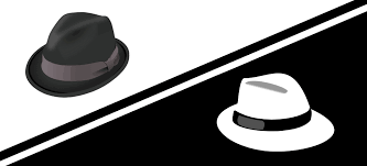 seo white hat