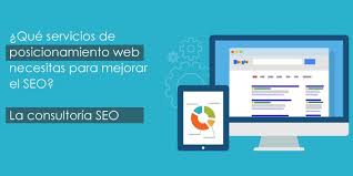 posicionamiento web profesional