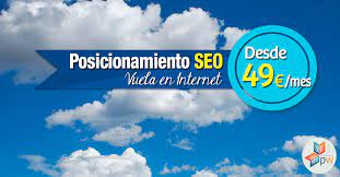 seo mensual