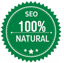 posicionamiento seo san sebastian