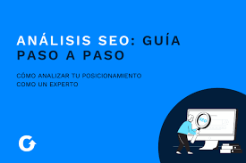experto posicionamiento seo