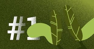 posicion organica en google