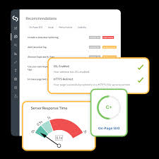site seo analyzer