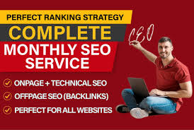 servicio seo mensual