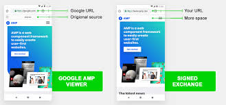 amp seo